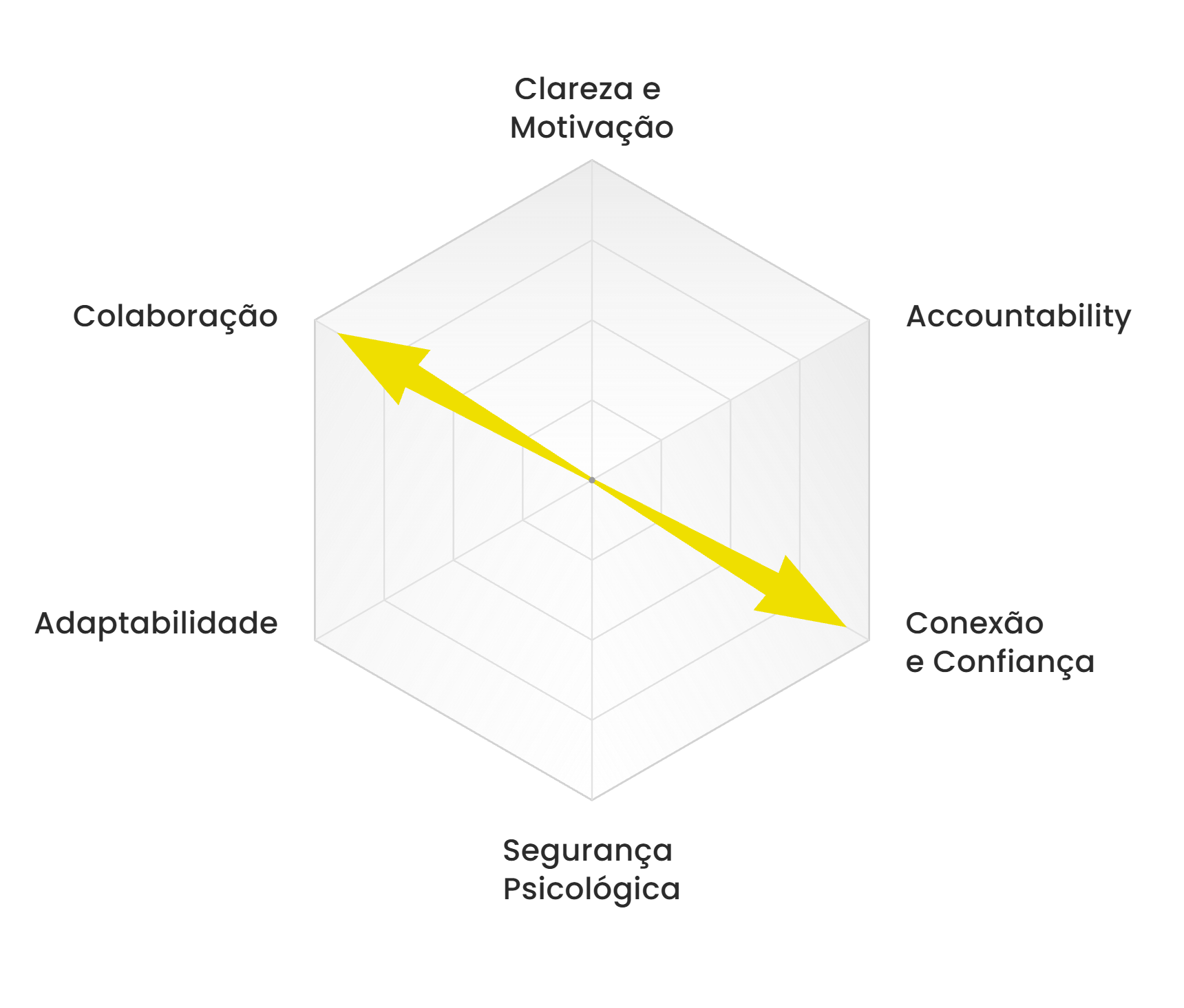 Radar Construindo Pontes