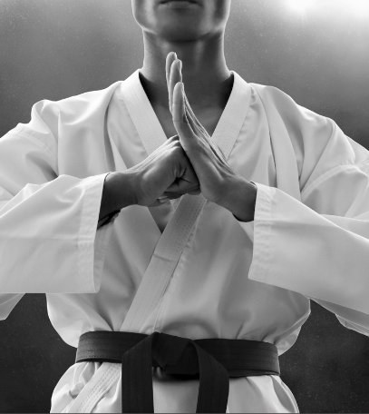 Karatê DOJO